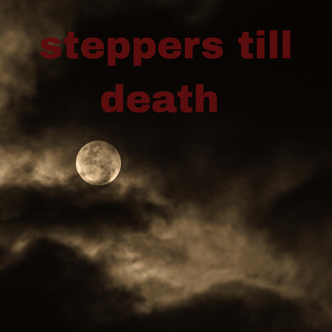 Steppers Till Death album art
