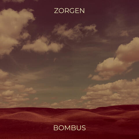 Zorgen album art