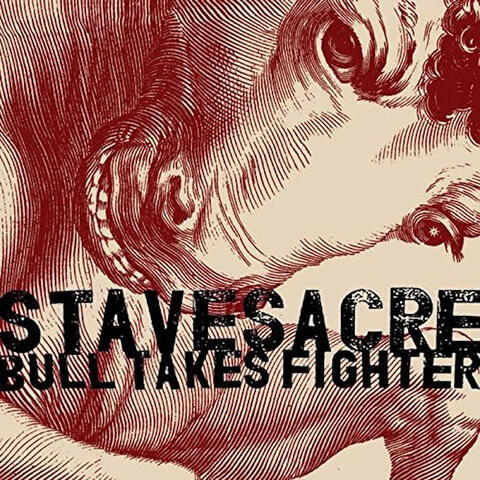 Bull Takes Fighter album art