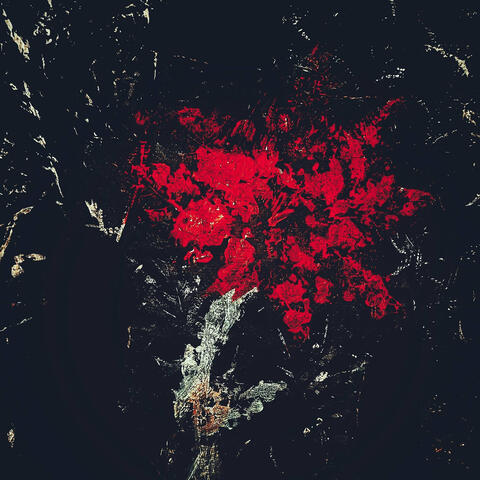 A Letter Without Words album art