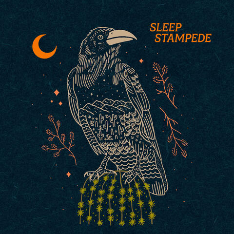 Sleep Stampede album art