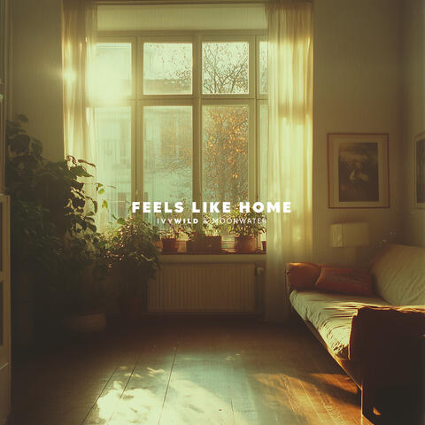 Feels Like Home album art