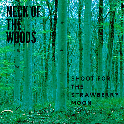 Shoot for the Strawberry Moon album art