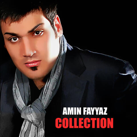 Collection album art