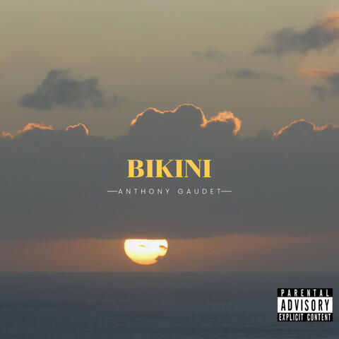 Bikini album art
