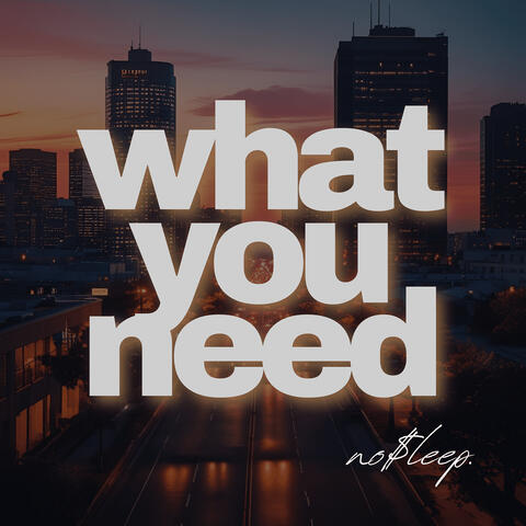 What You Need album art