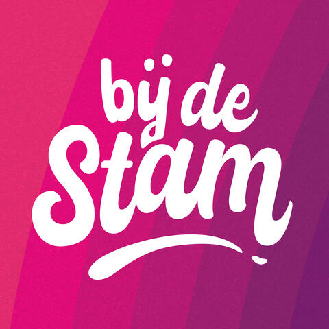Bij De Stam! album art