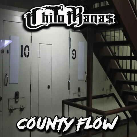 County Flow album art