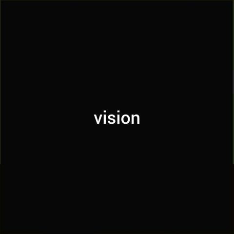 Vision album art