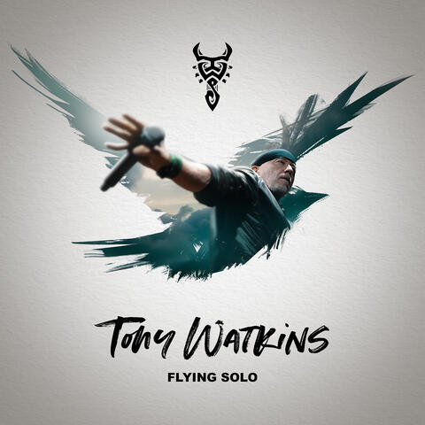 Flying Solo album art
