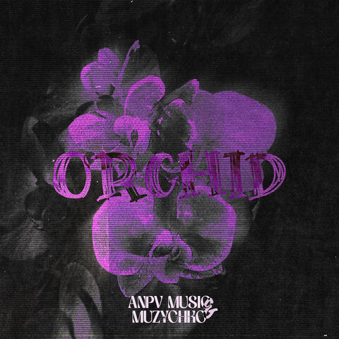 Орхідея album art
