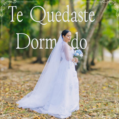 Te Quedaste Dormido album art