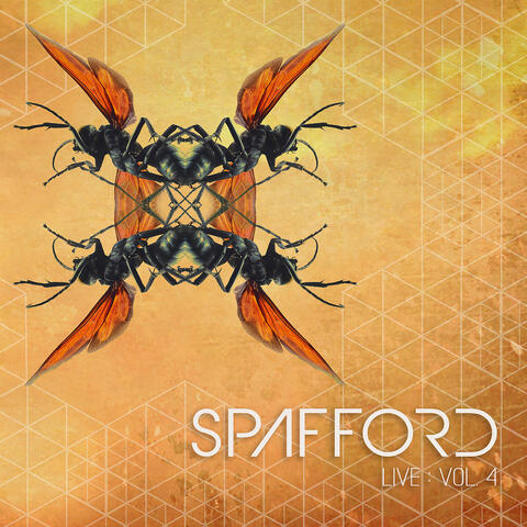 Spafford, Vol. 4 (Live) album art