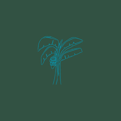 Safety album art