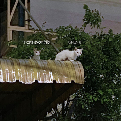 Walk You Home album art