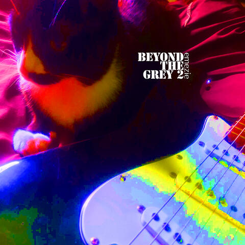 Beyond the Grey 2 album art