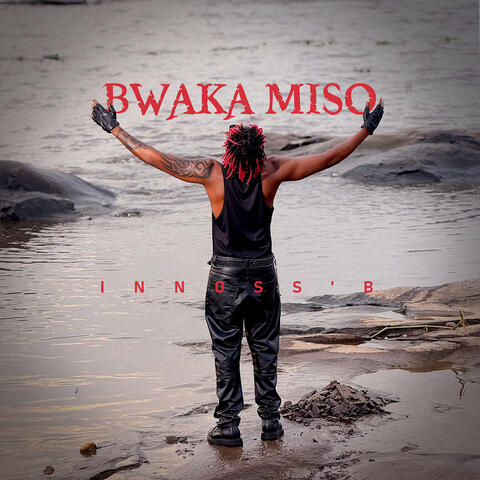 Bwaka Miso album art