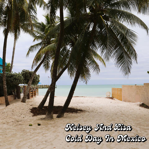 Cold Day in Mexico album art