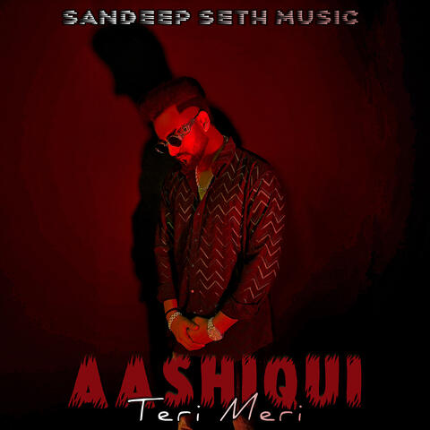 Aashiqui Teri Meri album art