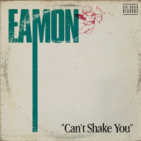 Can't Shake You album art