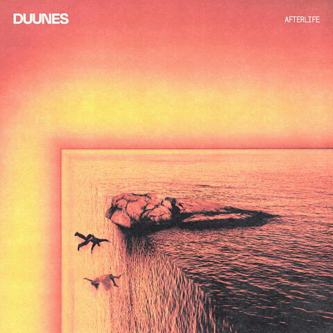 Afterlife album art