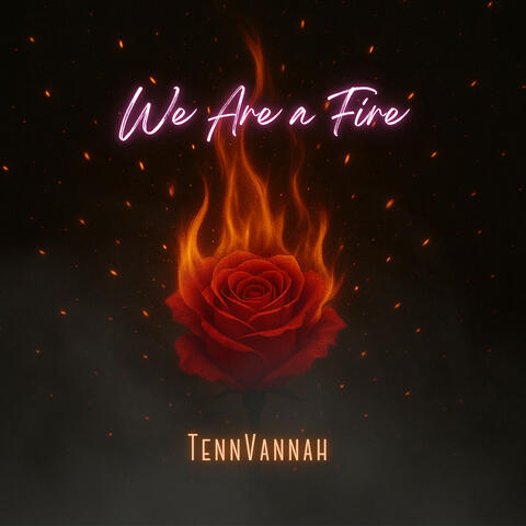 We Are a Fire album art