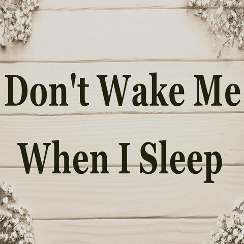Don't Wake Me When I Sleep album art