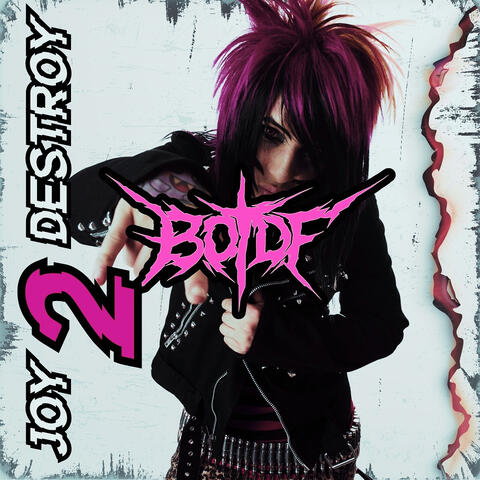 Joy 2 Destroy album art