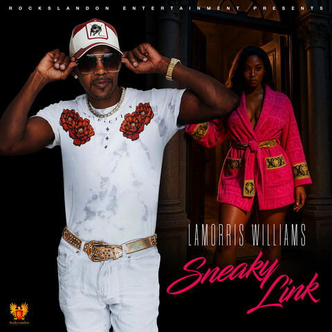 Sneaky Link album art