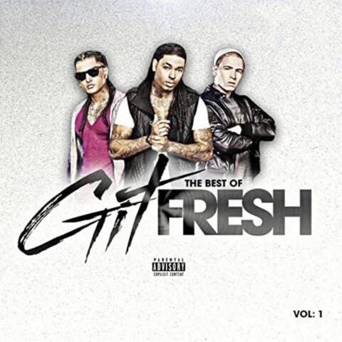 The Best of Git Fresh, Vol. 1 album art