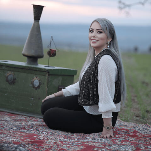Xece Herdem Delal album art