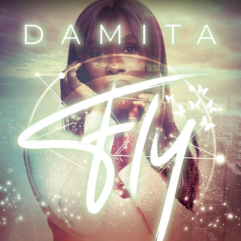 Fly album art