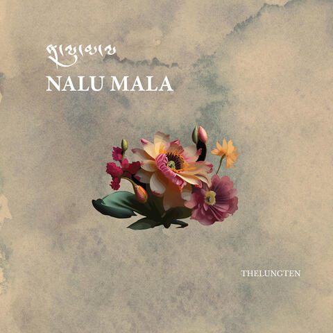 Nalu Mala album art