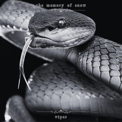 Viper album art
