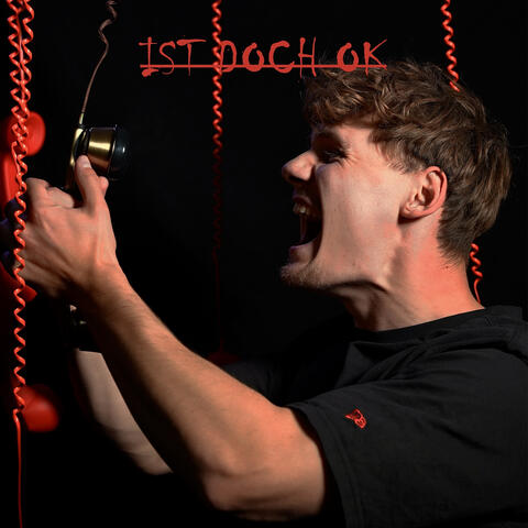 Ist Doch OK album art