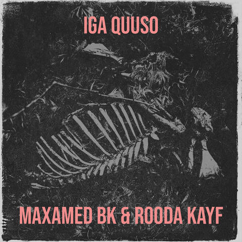 Iga Quuso album art