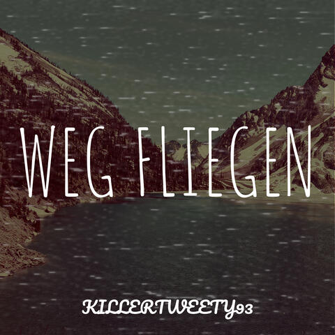 Weg Fliegen album art