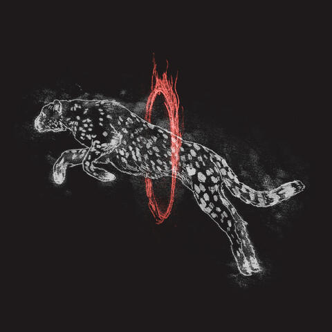 Through Fire album art