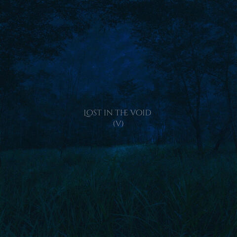 Lost in the Void (V) album art