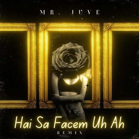 Hai Sa Facem Uh Ah (Remix) album art
