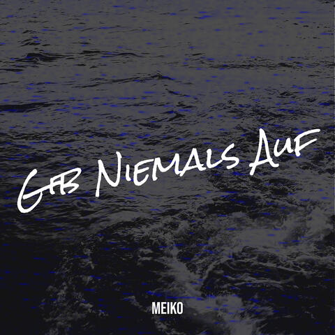 Gib Niemals Auf album art