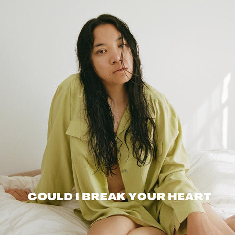Could I Break Your Heart album art