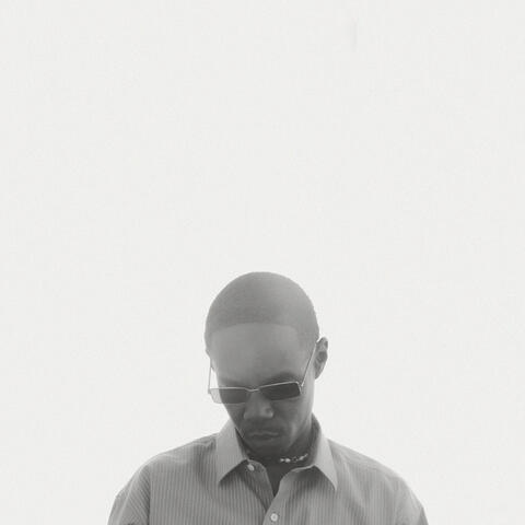 Mr. Lmp album art