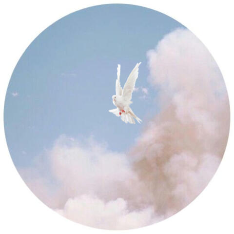 Gotta Leave to Save Me album art