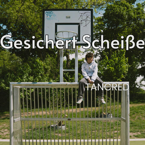 Gesichert Scheiße album art
