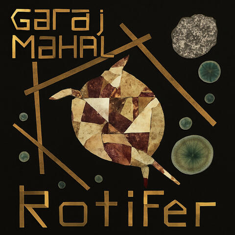 Rotifer album art