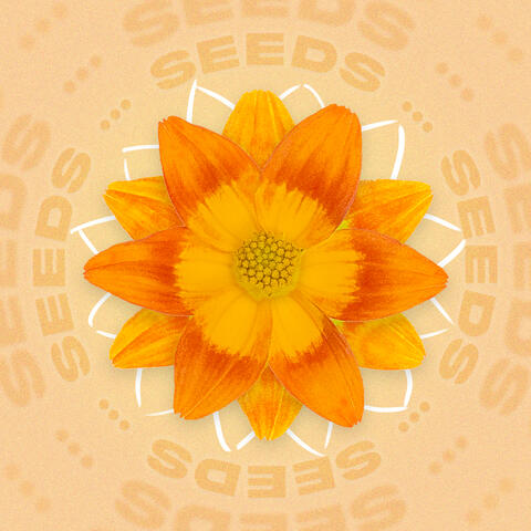 Seeds album art