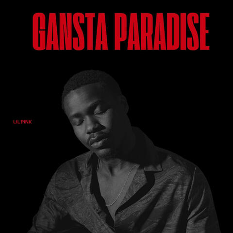 Gansta Paradise album art