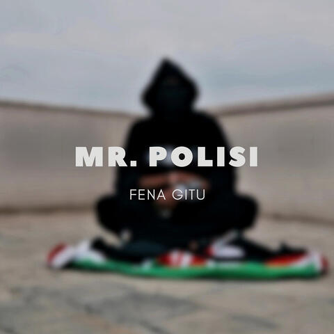 Mr. Polisi album art