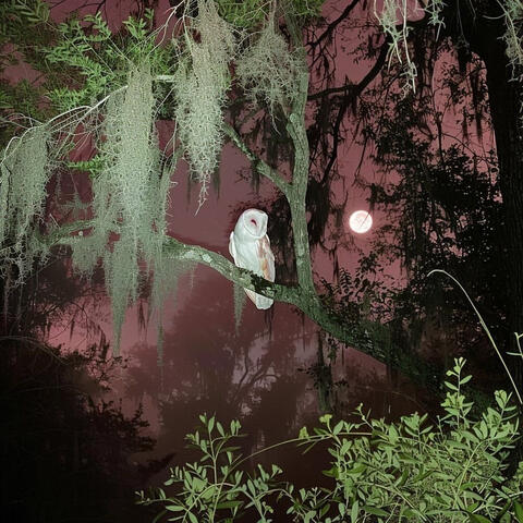Ccm album art
